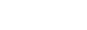 Basis logo